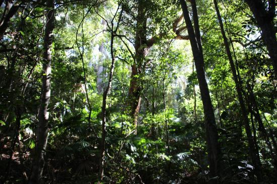 Sea Acres Rainforest Centre Port Macquarie